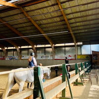 Impressionen vom Ferien-Reitkurs 1, 01.-06.09.2025