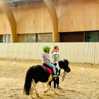 Impressionen Little Riders Monrepos 1