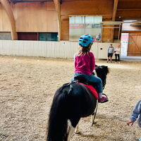 Impressionen Little Riders Monrepos 4