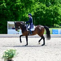 Willy Schetter mit Don Avalon bei der Dressurprüfung Klasse S*** Intermediaire II in Ludwigsburg 2022